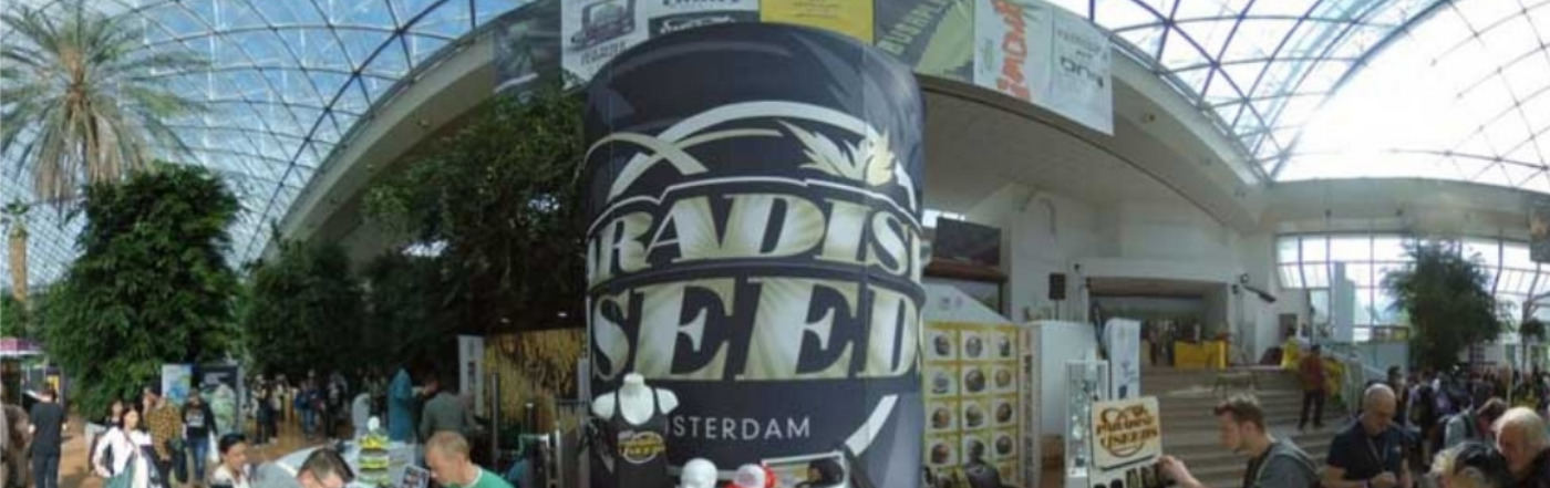 Paradise Seeds